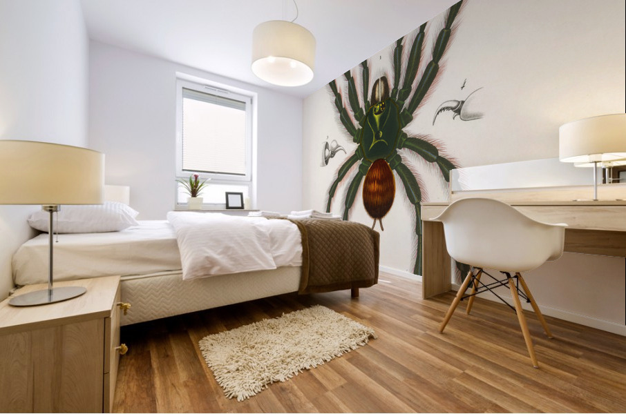 Sea Island cotton gossypium vitifolium Mural print