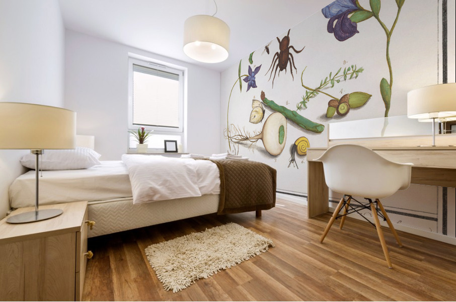 Nature ensemble in vintage style Mural print