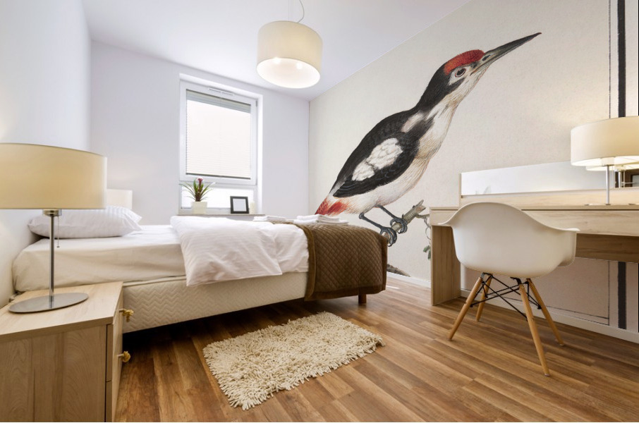 Lesser spotted woodpecker in vintage style Mural print