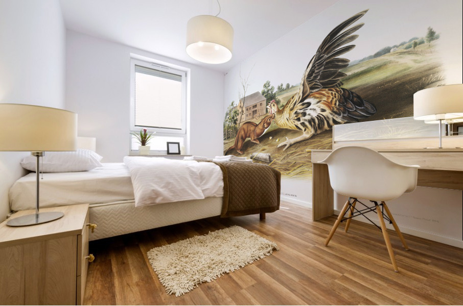 Tawny Weasel Putorius fuscus  Mural print