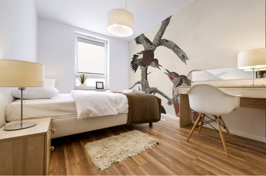 Hairy Woodpecker Red-bellied Woodpecker Red-shafted Woodpecker Lewis Woodpecker and Red-breasted Woodpecker Mural print