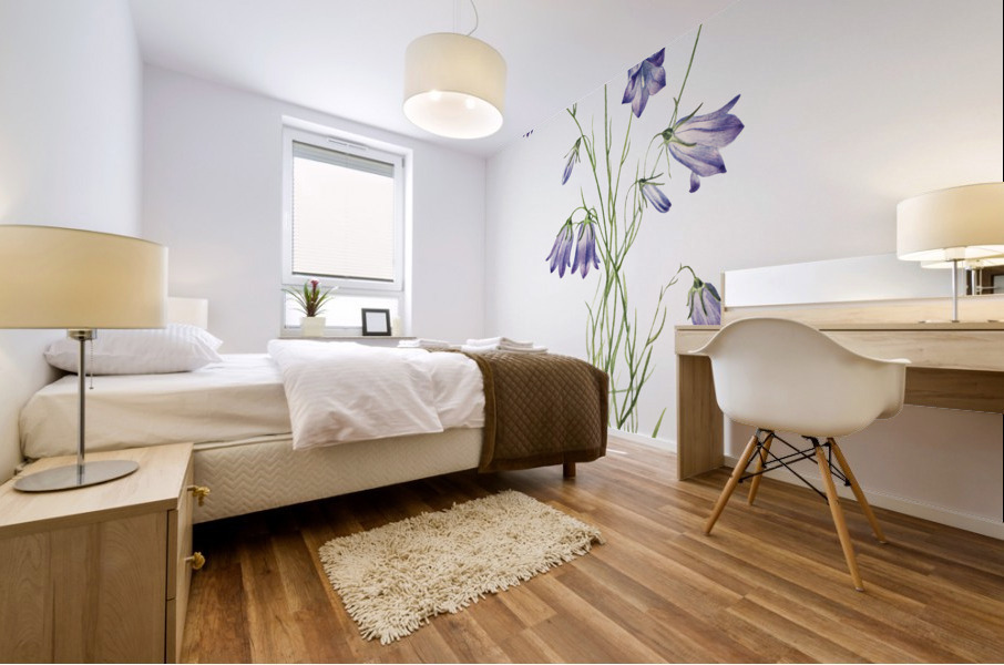 Harebell Campanula rotundifolia 1916 Mural print