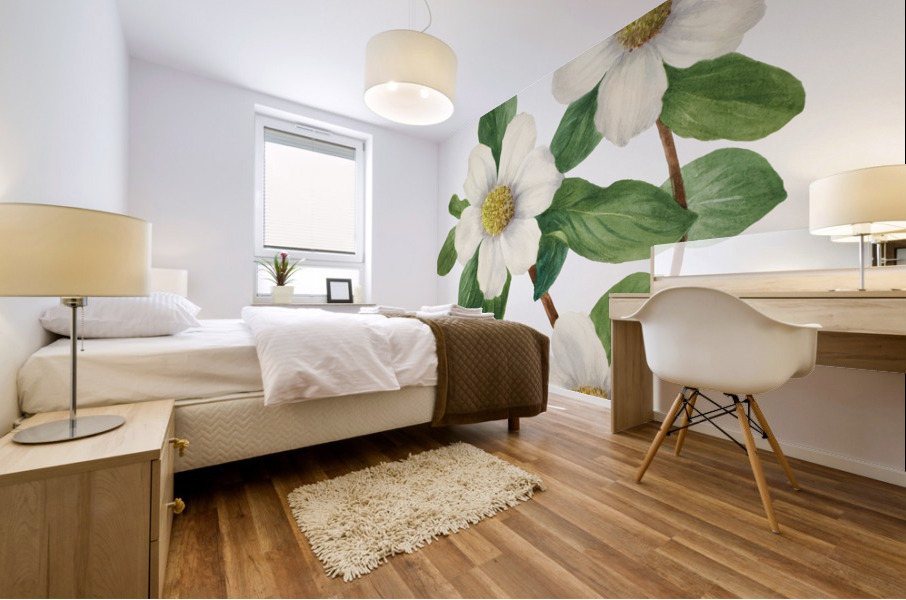 Pacific Dogwood Cornus nuttallii 1933 Mural print