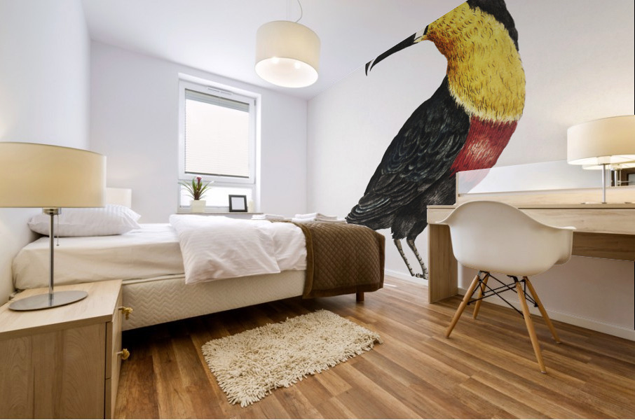 Tucana Piperivora Mangiapepe Toucan Mural print