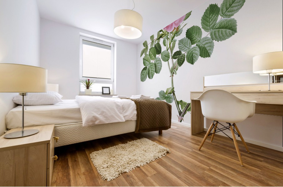 Pink sweet briar rose Mural print