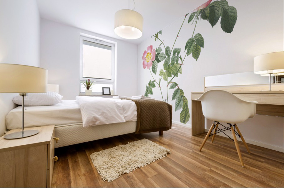 Pink Austrian copper rose Mural print