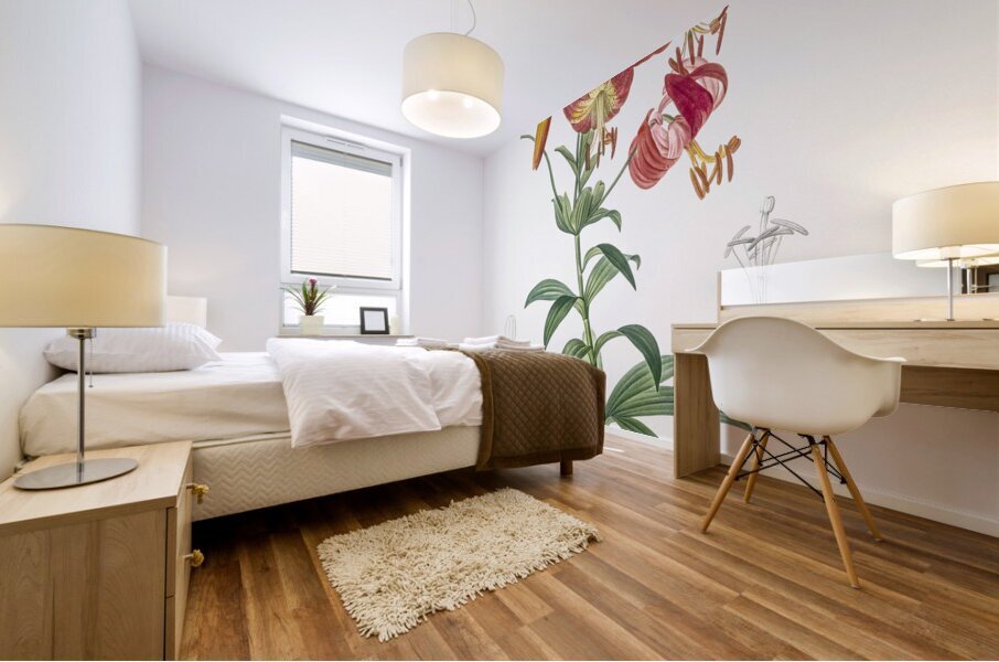 Turban lily illustration  Mural print