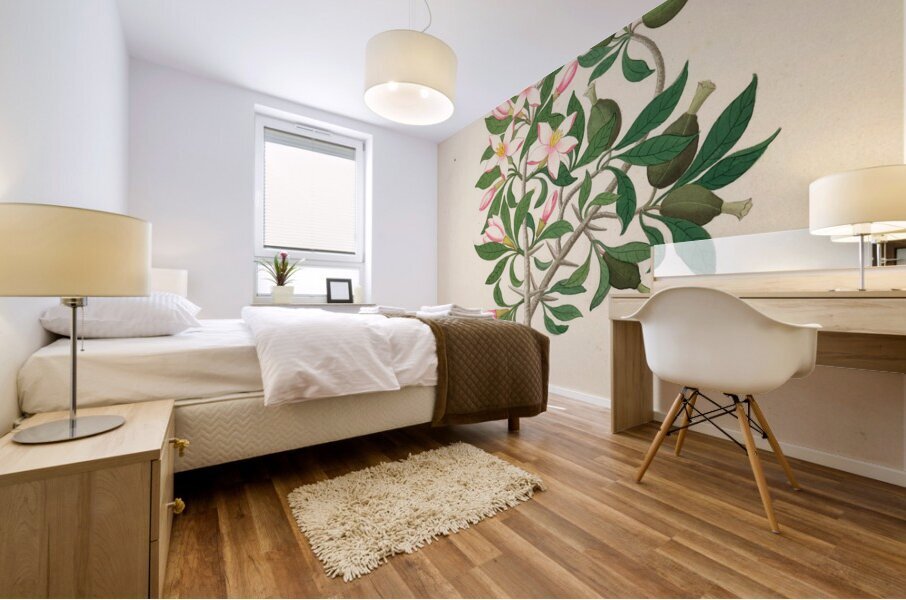 Gardenia Nov. Sp. [Hyperacanthus amoenus] 1817 Mural print