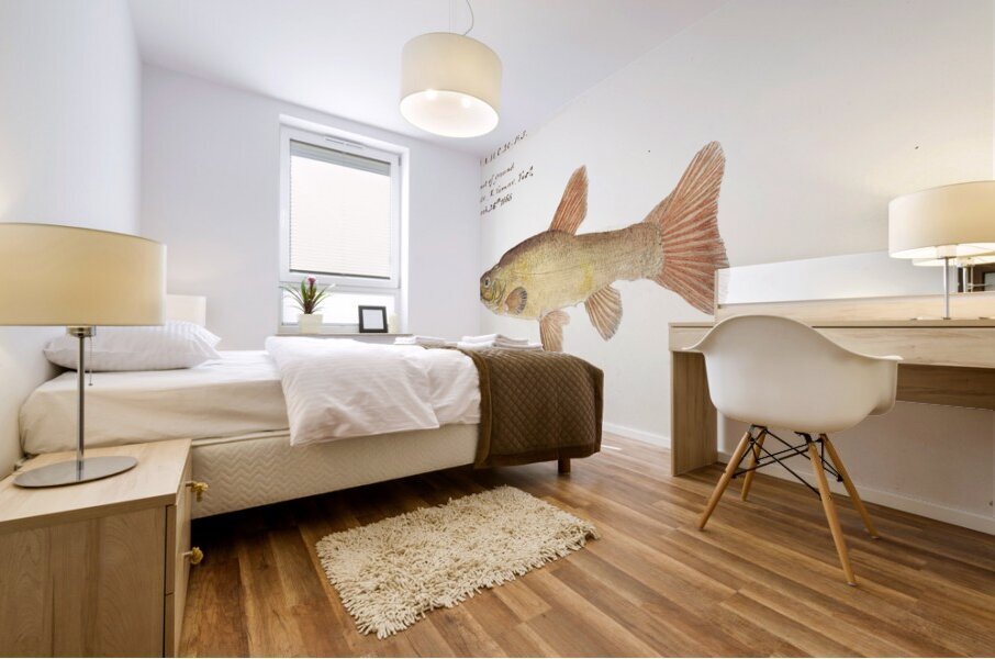 Antique fish tinca tinca cyprindae family South Pacific Fishes by Frank Edward Clarke 1849-1899.  Mural print