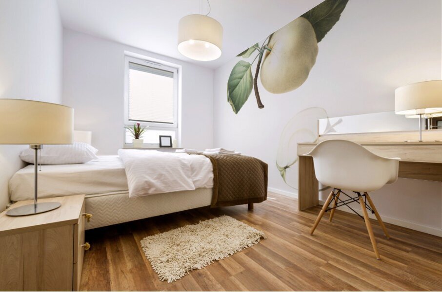 Astracan Apple Malus astracanensis from Pomona Italiana 1817 - 1839 by Giorgio Gallesio 1772-1839.  Mural print