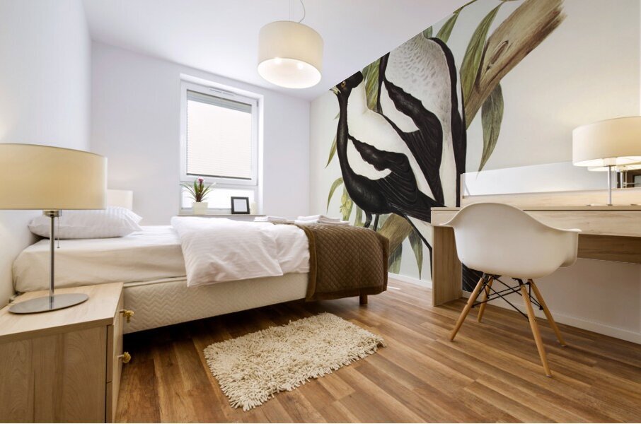 Tasmanian Crow-Shrike Gymnorhina organicum illustrated by Elizabeth Gould 1804–1841 for John Gould’s 1804-1881 Birds of Australia  Mural print