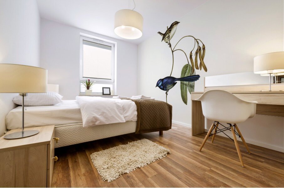 Banded Wren Alurus splendens illustrated by Elizabeth Gould 1804–1841 for John Gould’s 1804-1881 Birds of Australia  Mural print