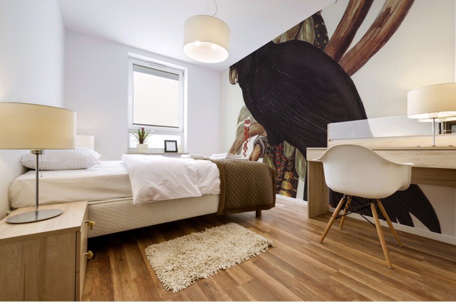 Banksian Cockatoo Calyptorhynchus Banksii illustrated by Elizabeth Gould 1804–1841 for John Gould’s 1804-1881 Birds of Australia  Mural print