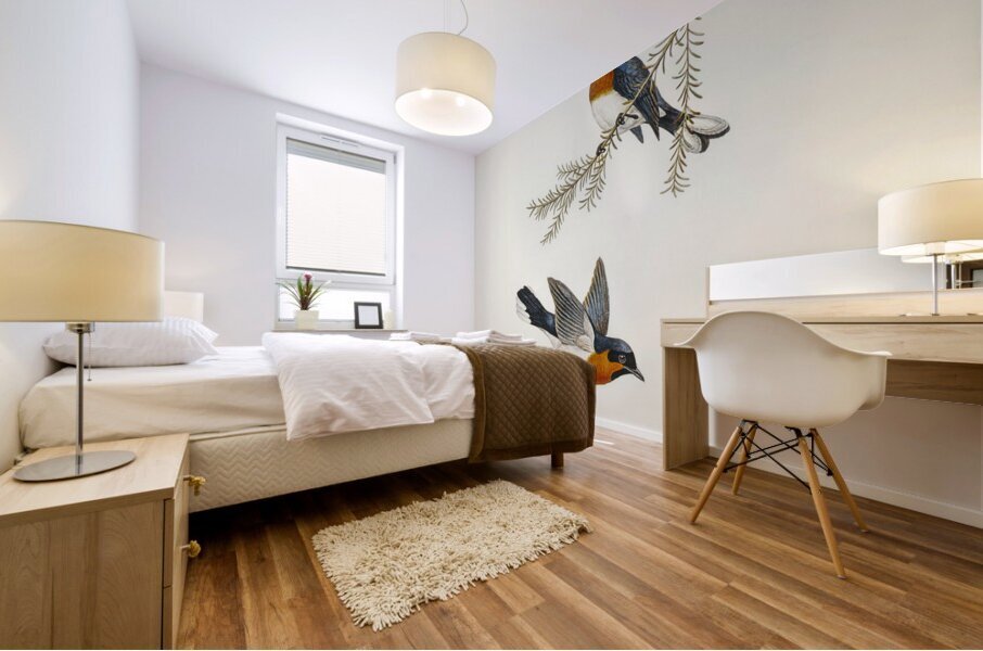 White-bellied Flycatcher Monarcha albiventris illustrated by Elizabeth Gould 1804–1841 for John Gould’s 1804-1881 Birds of Australia  Mural print