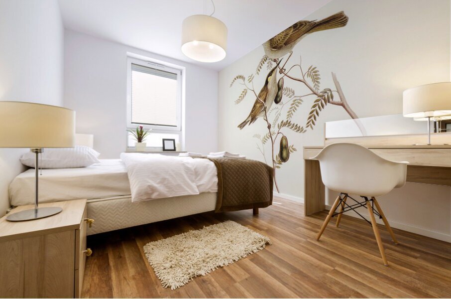 Yellow-spotted Honey-eater Ptilotis notata illustrated by Elizabeth Gould 1804–1841 for John Gould’s 1804-1881 Birds of Australia  Mural print