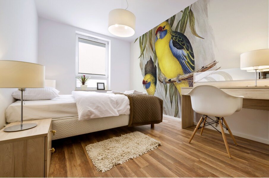 Great-billed Heron Ardea rectirostris illustrated by Elizabeth Gould 1804–1841 for John Gould’s 1804-1881 Birds of Australia  Mural print