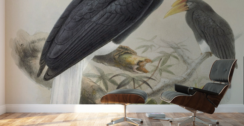 Buceros sylvestris 1882 Wall Murals