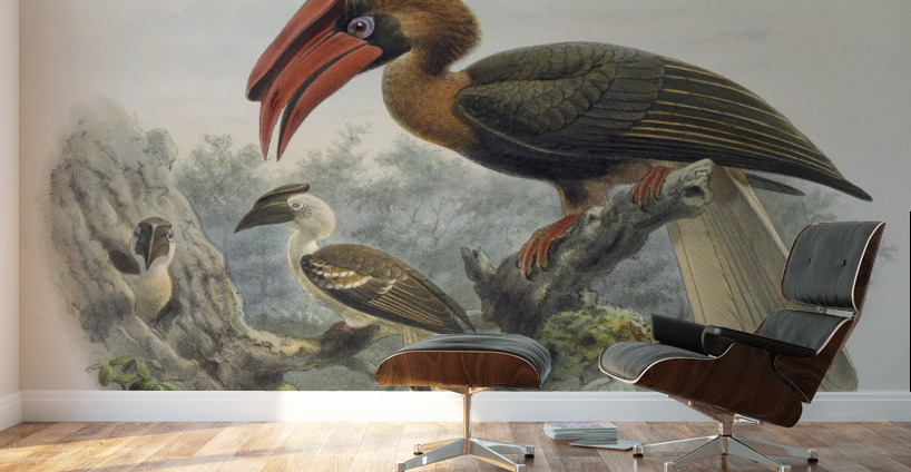 Hydrocorax planicornis 1882 Wall Murals