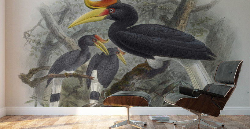 Buceros rhinoceros 1882 Wall Murals