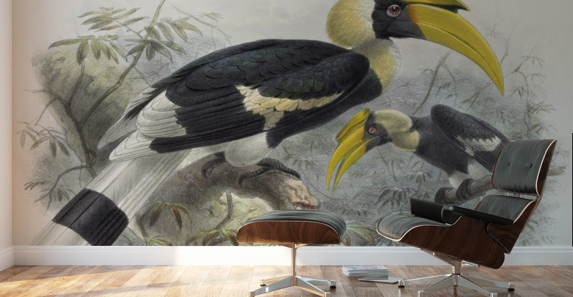 Dichoceros bicornis 1882 Wall Murals