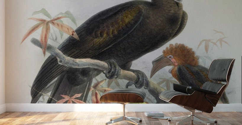 Sphagolobus atratus 1882 Wall Murals