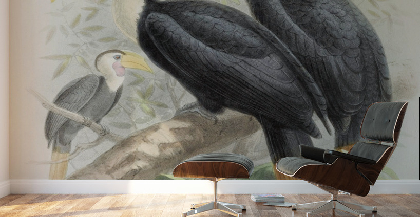 Cranorrhinus corrugatus 1882 Wall Murals