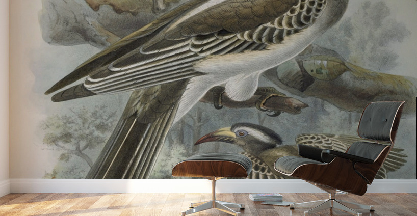 Lophoceros nasutus 1882 Wall Murals