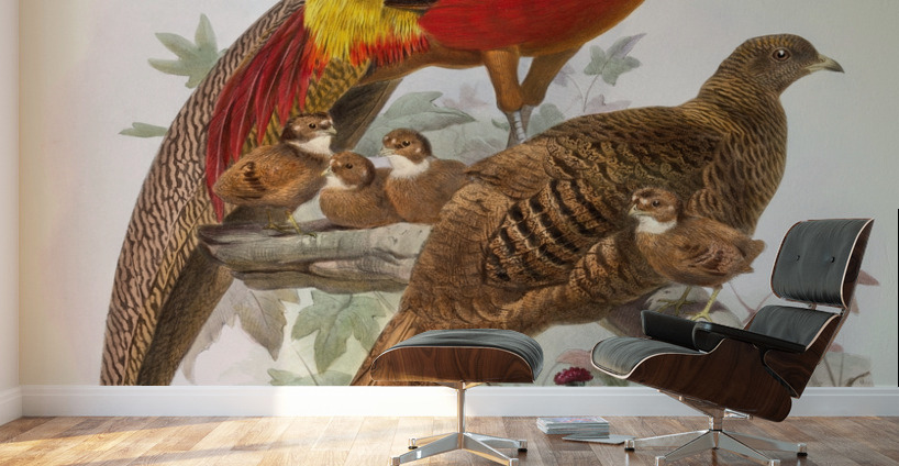 Thaumalea obscura. 1872 Wall Murals