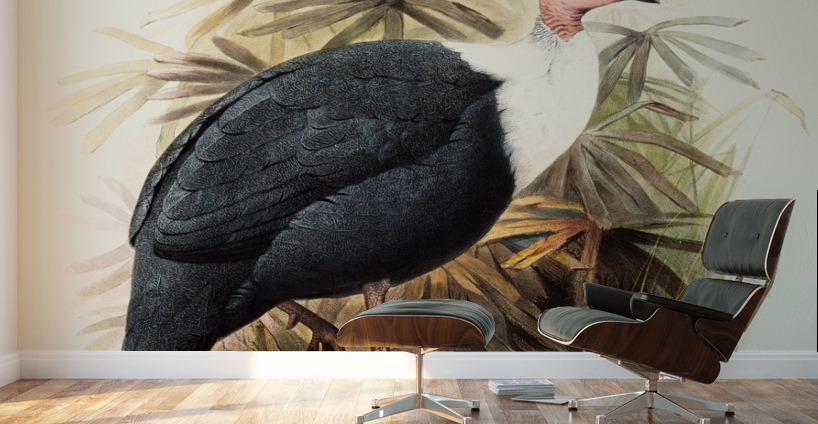 Agelastes meleagrides. 1872 Wall Murals