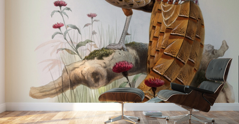 Phasianus Soemmerringi var scintillans. 1872 Wall Murals