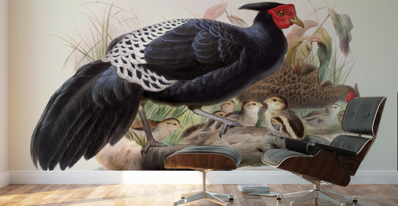 Euplocamus Horsefieldii 1872 Wall Murals