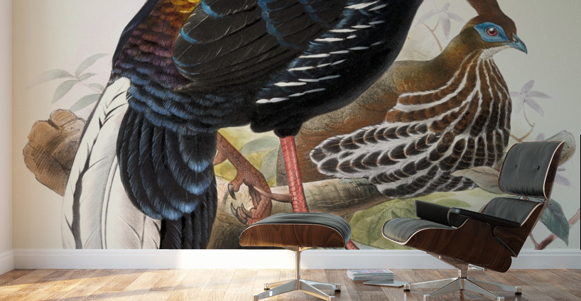 Euplocomus ignitus. 1872 Wall Murals