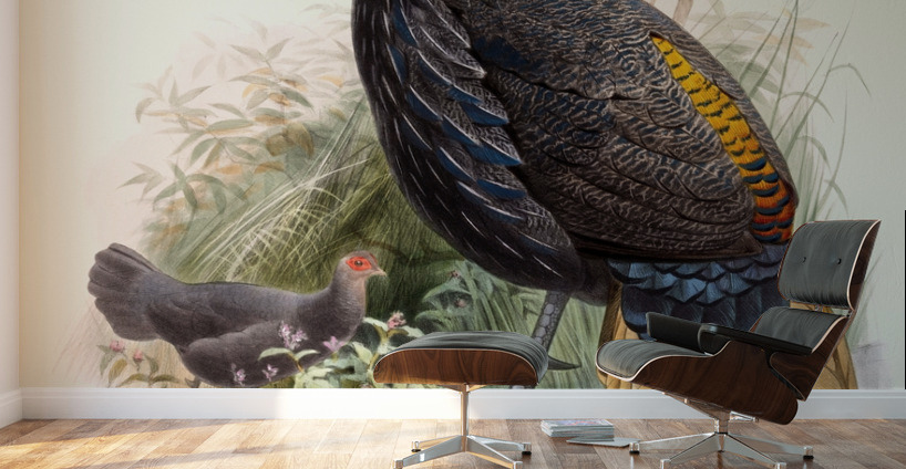 Euplocamus Pyronotus 1872 Wall Murals