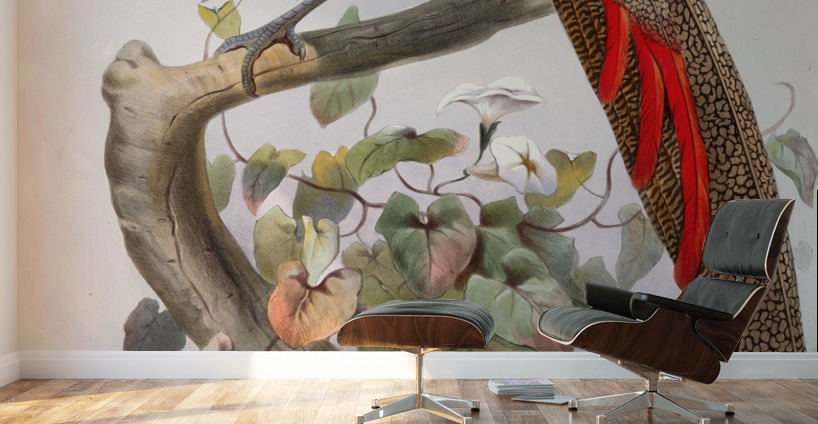 Hybrid Pheasant. 1872 Wall Murals