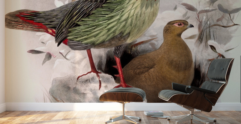 Ithalginis cruentus. 1872 Wall Murals