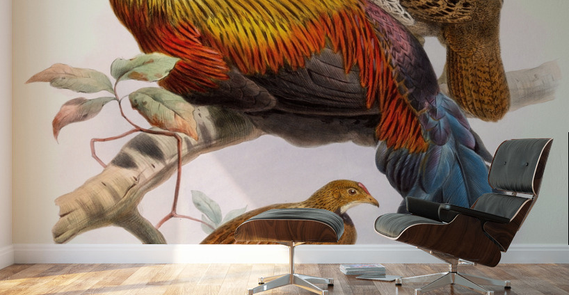 Gallus La-Fayettei. 1872 Wall Murals