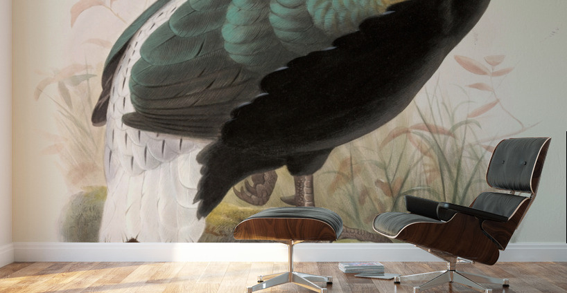 Lophophorus Sclateri. 1872 Wall Murals