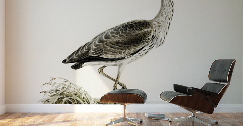 Gray heron Ardea cinerea Wall Murals