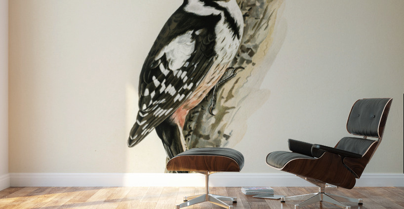 Dryobates medius Wall Murals