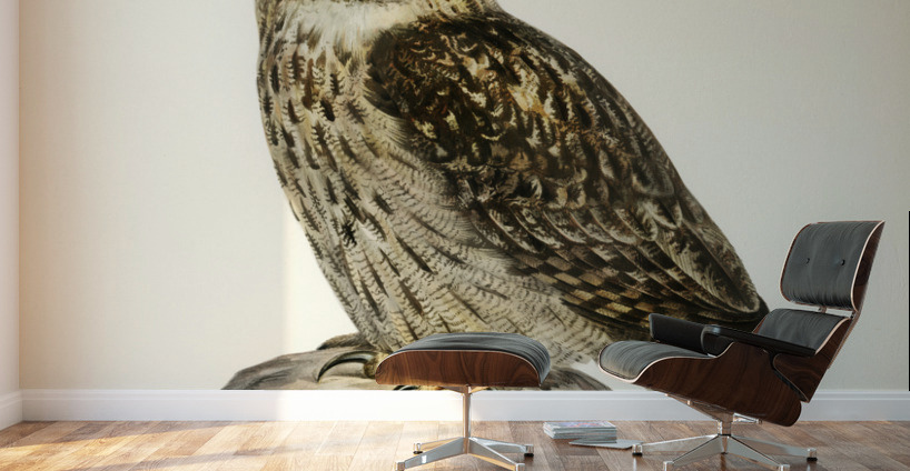 Eurasian eagle-owl BUBO BUBO Wall Murals