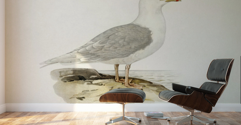 LARUS LEUCOPTERUS Wall Murals