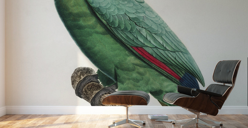 Yellow-crowned amazon Wall Murals