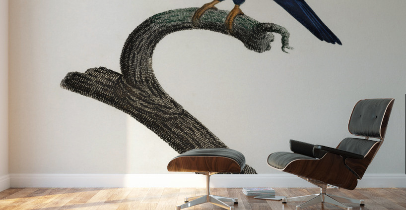 Arimanon parakeet  Wall Murals