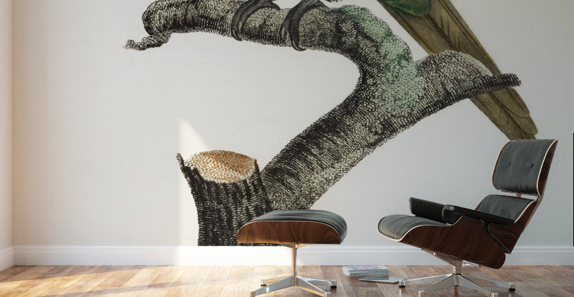 Yellow-crowned parakeet  Wall Murals