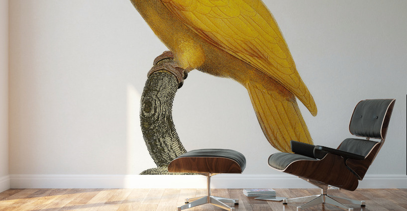 Lessons parrotlet  Wall Murals