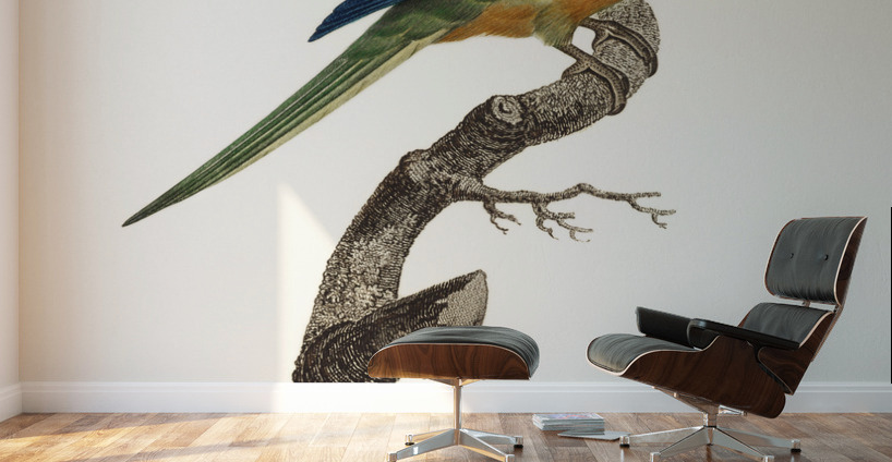 Turquoise parrot  Wall Murals