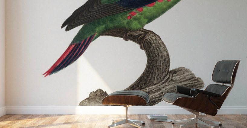 Swift parrot Wall Murals