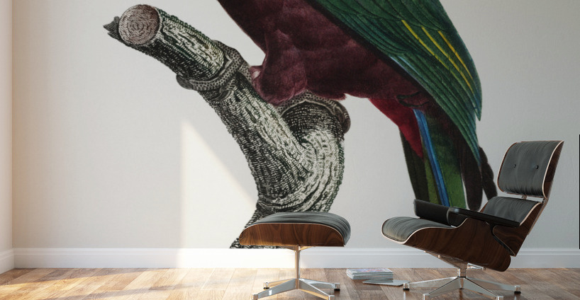 Red-billed pionus  Wall Murals