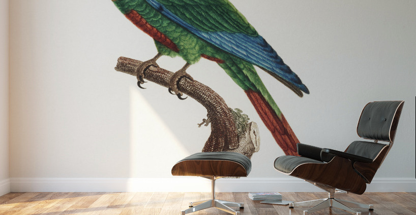 Wave-breasted parakeet  Wall Murals