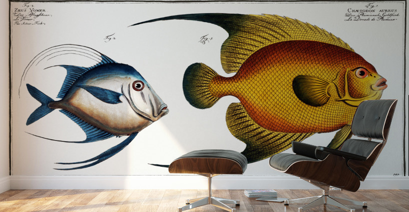 1.Chaetodon aureus 2. Silver Fish Zeus Vomer Wall Murals